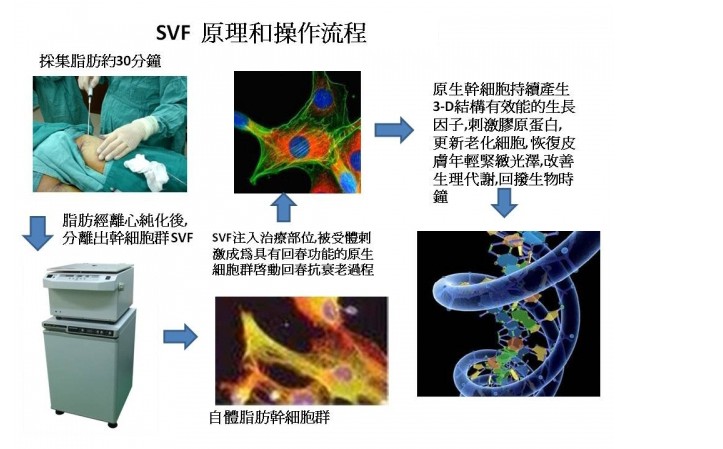 SVFc3.jpg