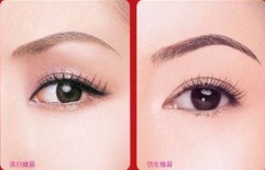 仿生植眉——?jiǎng)⑿〗? /></a></div>
                        <span><h1><a href=